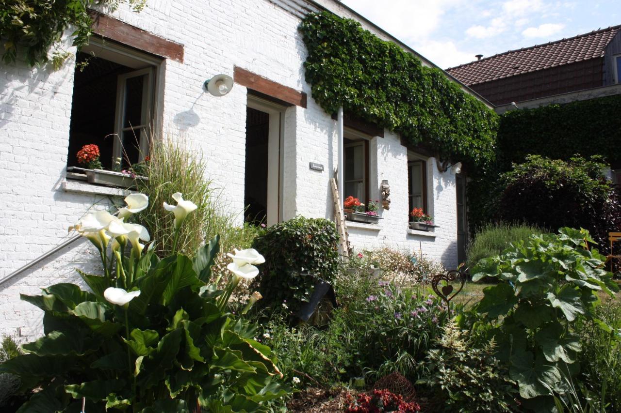 Bed and Breakfast L'Atterrissage Santes Zewnętrze zdjęcie